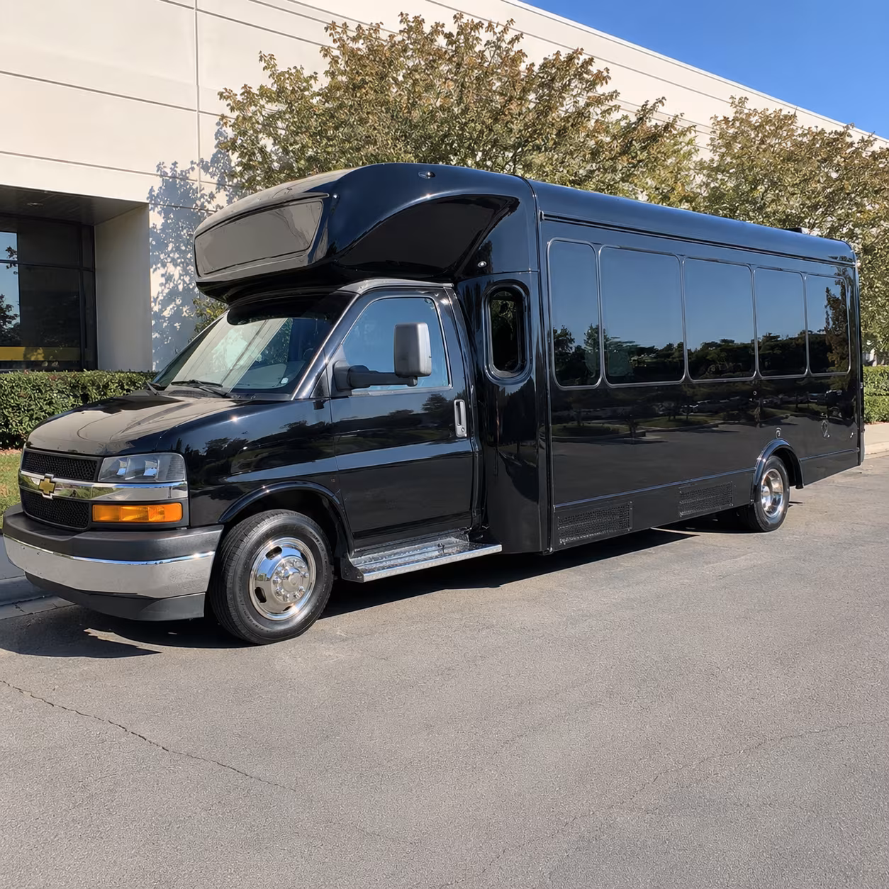 15 Passenger Party Bus